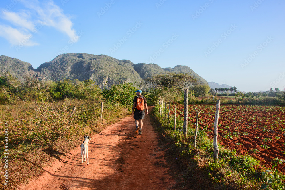 Hiking in beautiful mogote landscape in the Valley of Viñales, Cuba