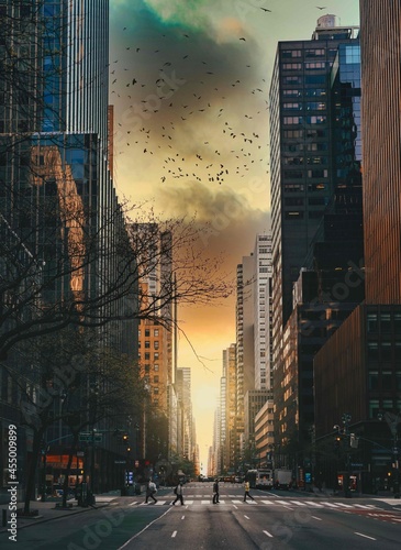 Canvas Print scene street in New York people sky clouds sun birds tree panorama urban buildin