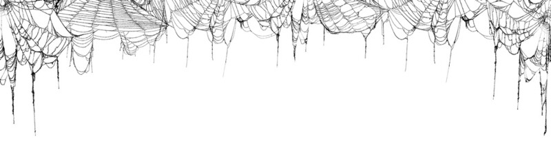 Real creepy spider webs hanging on white banner as a top border