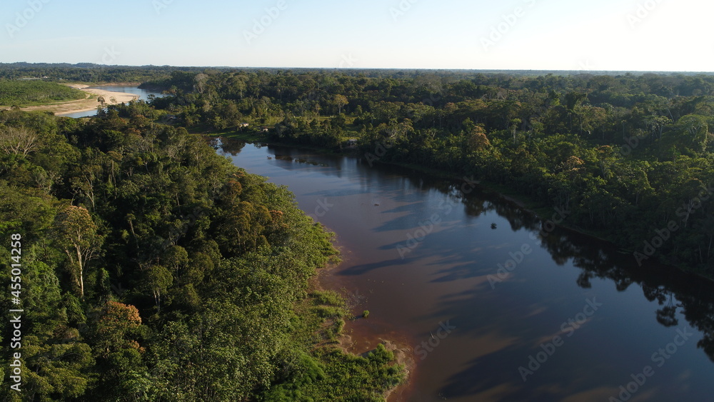 Obraz premium river in the forest