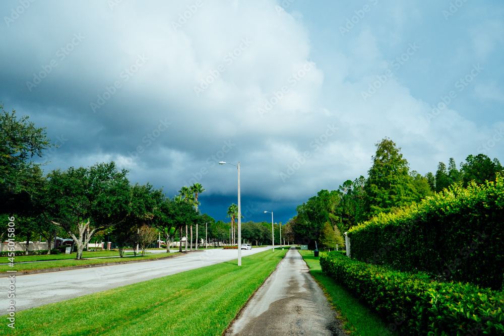 Obraz premium tree, street and beautiful cloud in summer of florida 