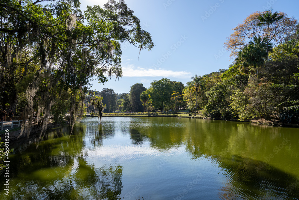 paisagem da reserva ambiental do Horto Florestal. Parque estadual da cidade de São Paulo. paisagem da reserva ambiental do Horto Florestal. Parque estadual da cidade de São Paulo.