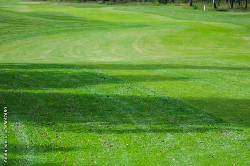 green grass texture of the golf course for background. High quality photo