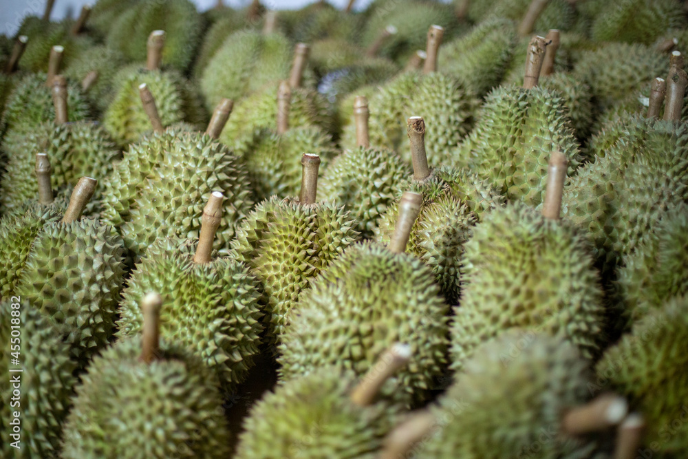 Group of durian. Blurred foreground and background. Group of durian. Blurred foreground and background.