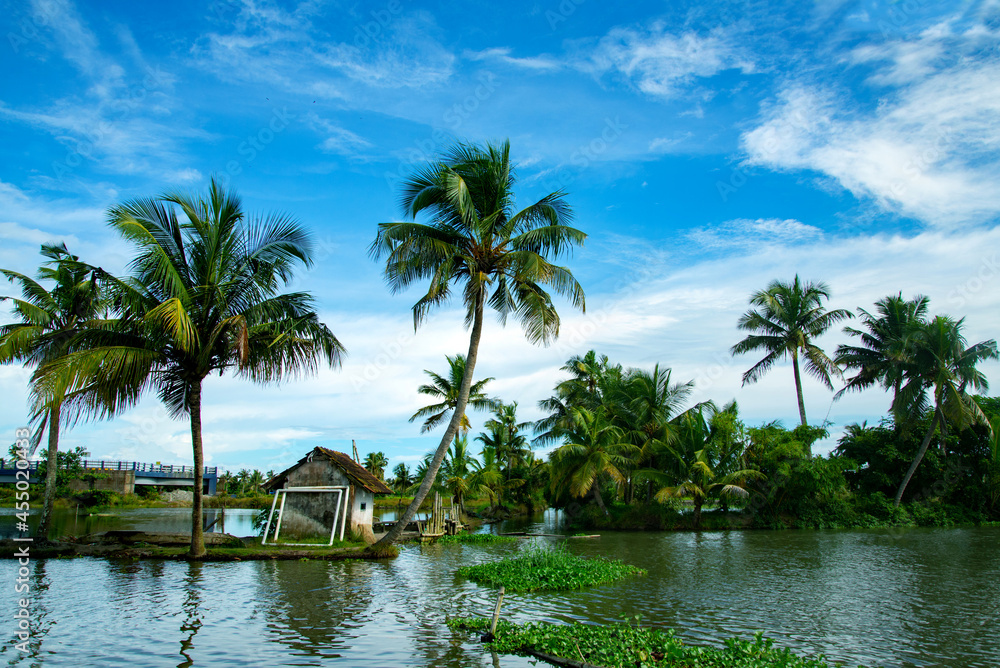 A small old hut under coconut palm trees during day time, Kerala backwaters photography during day time Kadamakkudy Kerala, Stripe of coconut trees between a cloudy sky and river.