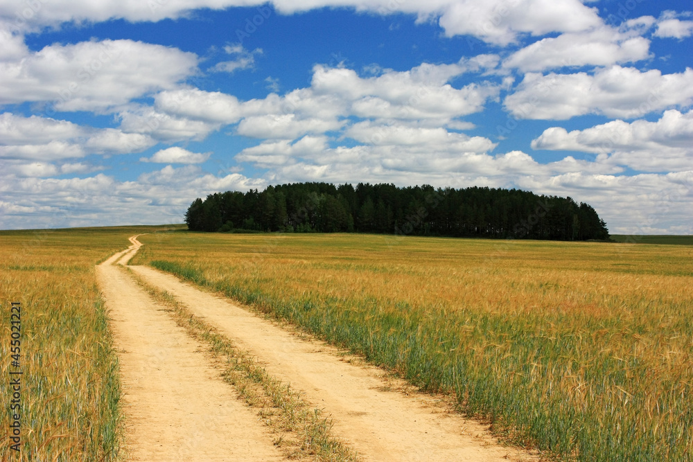 Country dirt road in a green field Country dirt road in a green field