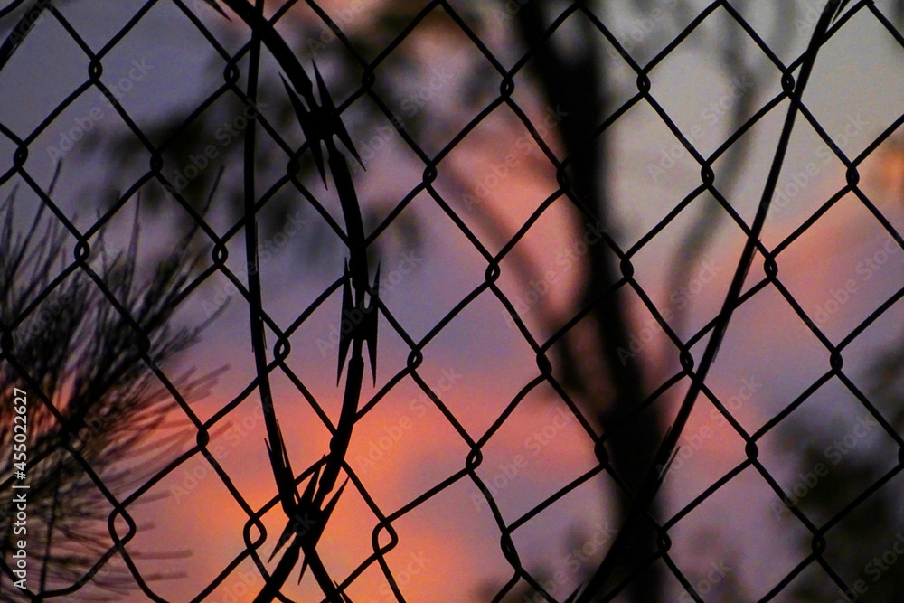 Barbed Wire (Sunset) Barbed Wire (Sunset)