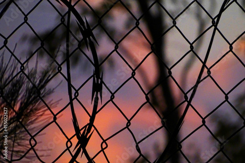 Barbed Wire (Sunset)