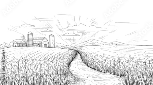 Corn field. Hand drawn agricultural engraving with summer and autumn maize cobs. Farm house and silos. Black and white farmland sketch. Sunrise rustic panorama. Vector nature landscape