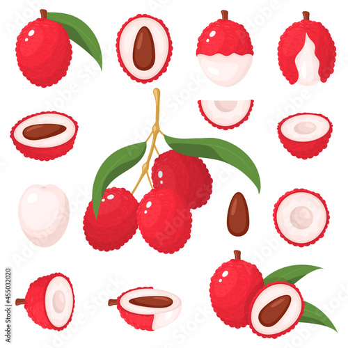 Photos Set of fresh whole, half, cut slice lychee fruits isolated on white background