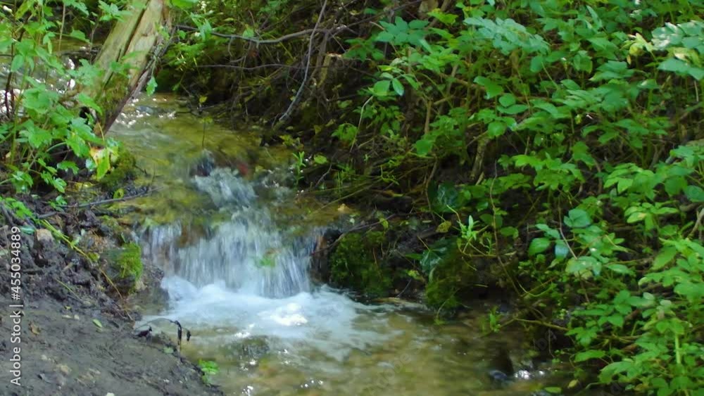 A small fast stream in the forest. Natural spring between trees. A small fast stream in the forest. Natural spring between trees.
