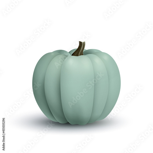 Fresh pumpkin of the blue Jarrahdale variety for Thanksgiving photo