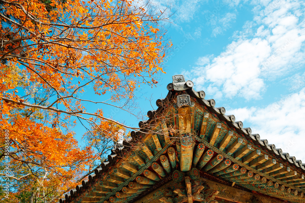 Korean traditional roof eaves with autumn leaves at Bulguksa temple in Gyeongju, Korea