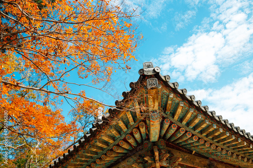 Obraz na płótnie Korean traditional roof eaves with autumn leaves at Bulguksa temple in Gyeongju, Korea w salonie