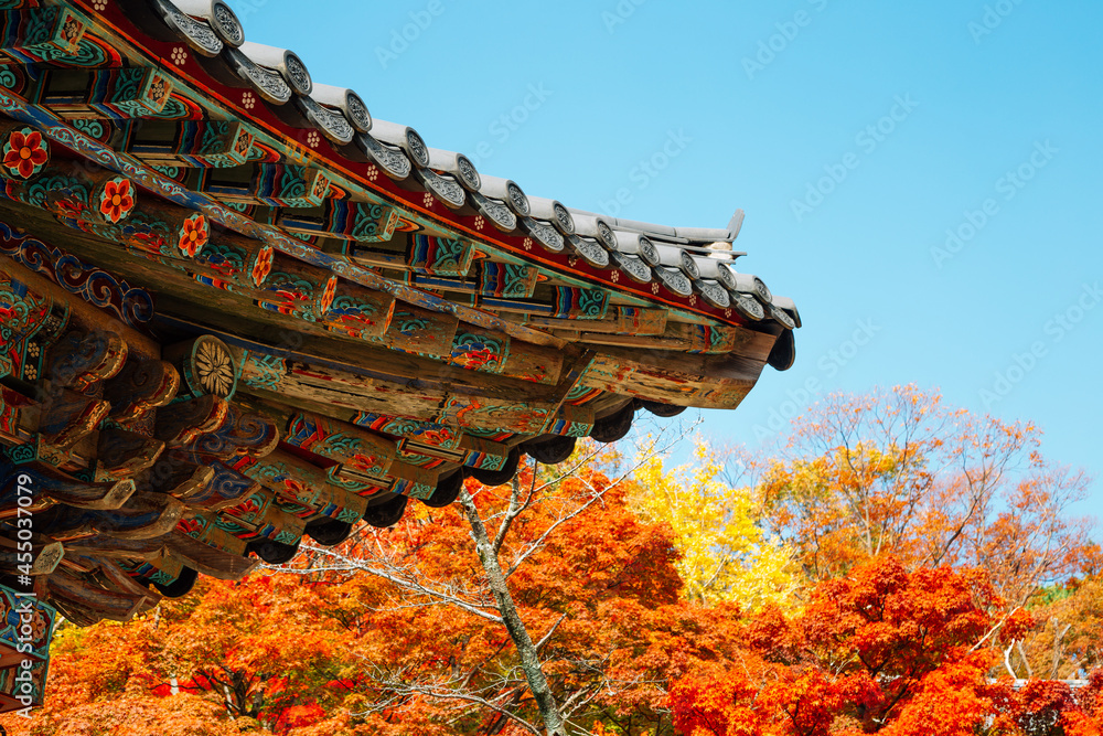 Korean traditional roof eaves with autumn leaves at Bulguksa temple in Gyeongju, Korea
