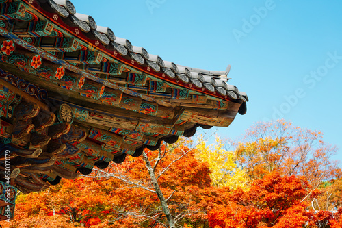 Obraz na płótnie Korean traditional roof eaves with autumn leaves at Bulguksa temple in Gyeongju, Korea w salonie