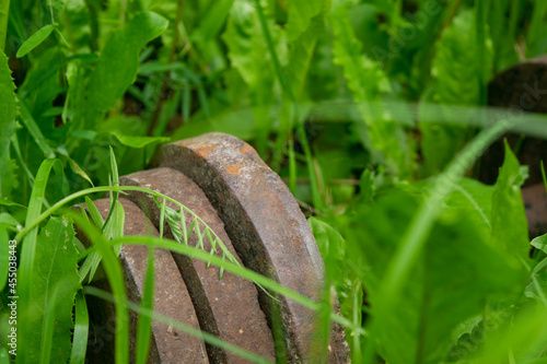 Old vintage dumbbells in the green grass  close-up  selective focus