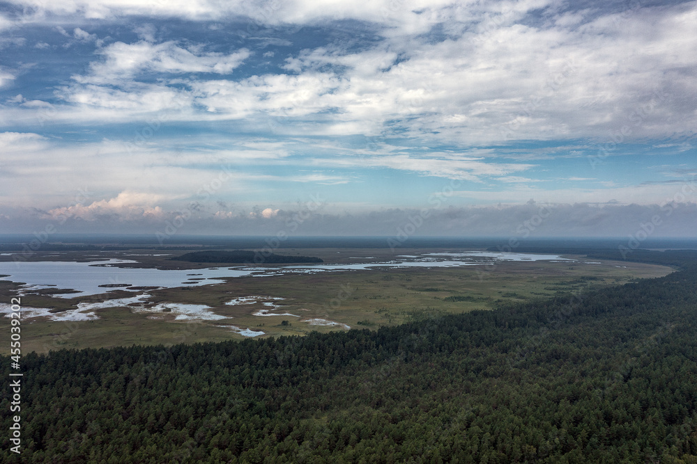 Engure lake in still summer day, Latvia.