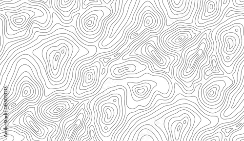 Tela Seamless vector topographic map background