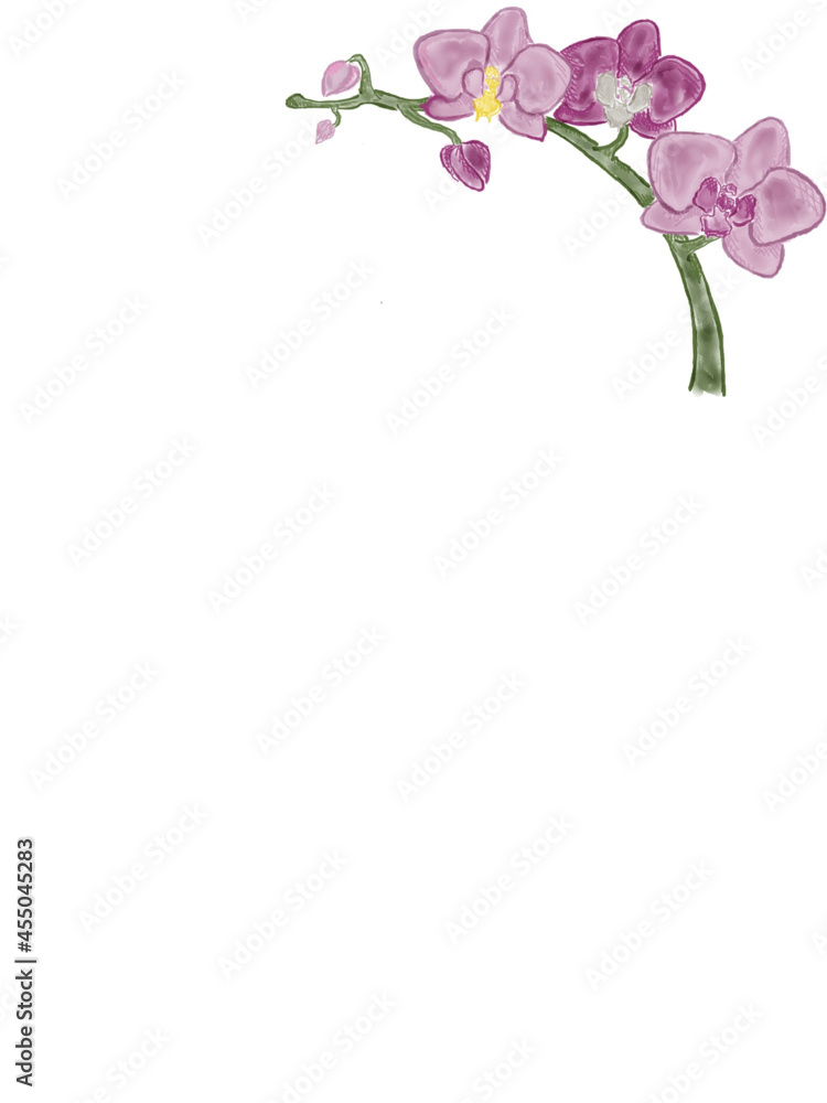 Orchid letter paper  