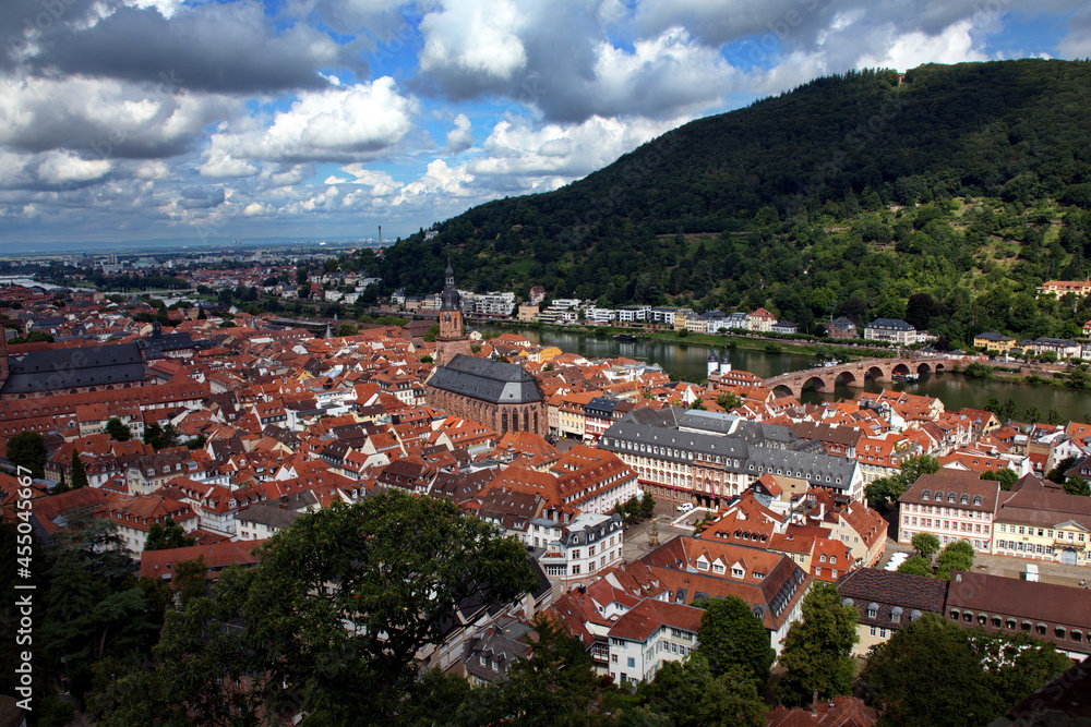 Heidelberg von Oben