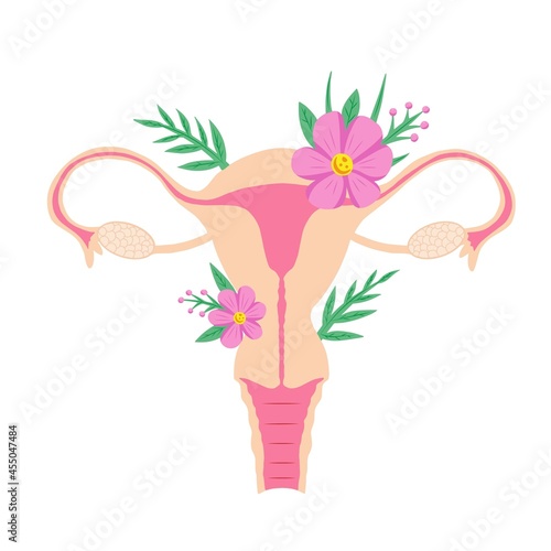 Uterus and flowers illustration. Women Health. Human internal organs. Vector illustration.