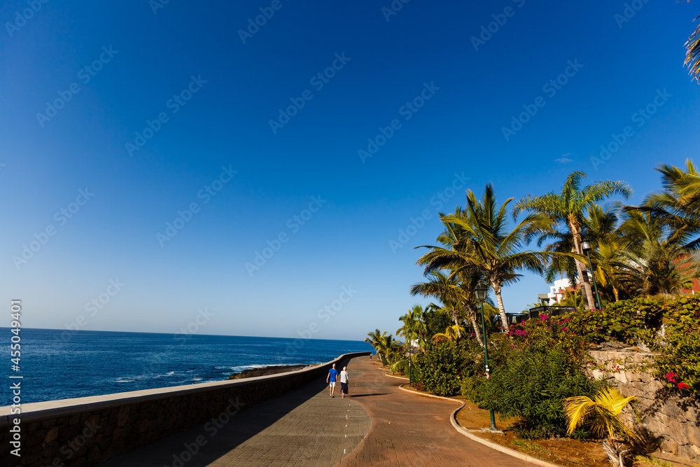 Palm trees on coastal promenade, Canary Islands, Spain