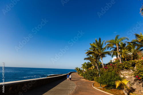 Palm trees on coastal promenade, Canary Islands, Spain © Angelov