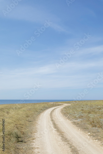 Field with yellow grass scorched by the sun. Sea and blue sky with feather clouds.