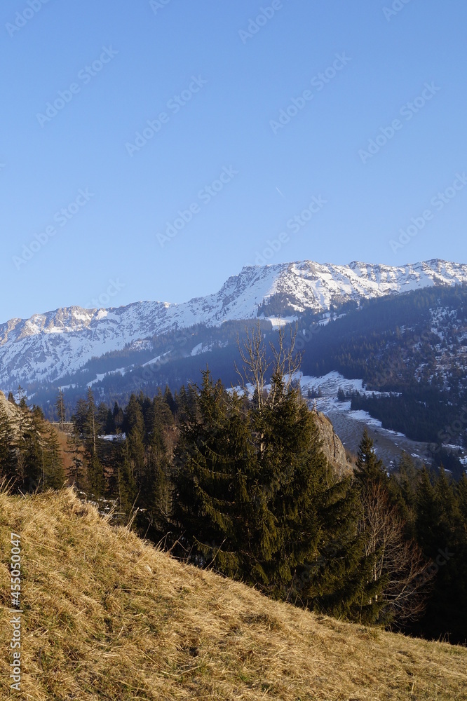 the wintery Alps in beautiful Oberjoch in Bavaria (Germany)