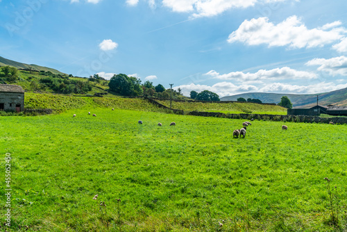 Yorkshire Dales, UK