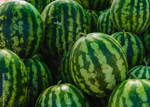 Ripe watermelons close-up in the market in the south of Ukraine.