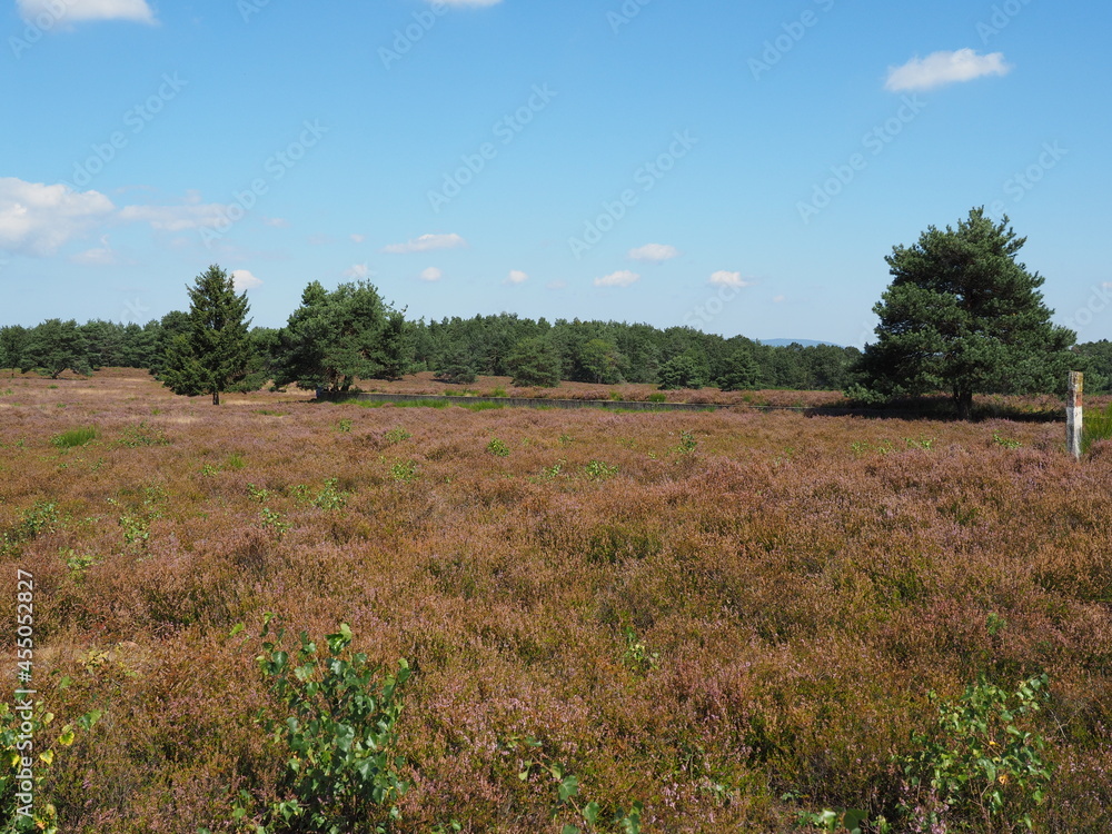 Die Mehlinger Heide bei der pfälzischen Ortschaft Mehlingen ist die größte Heide Süddeutschlands Die Mehlinger Heide bei der pfälzischen Ortschaft Mehlingen ist die größte Heide Süddeutschlands