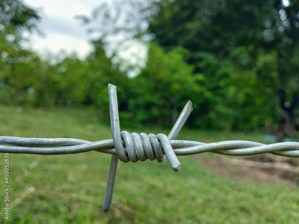 barbed wire against a fence