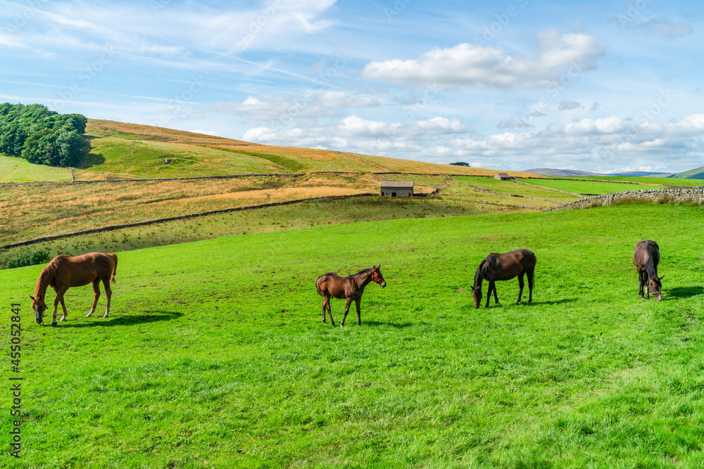 Yorkshire Dales, UK