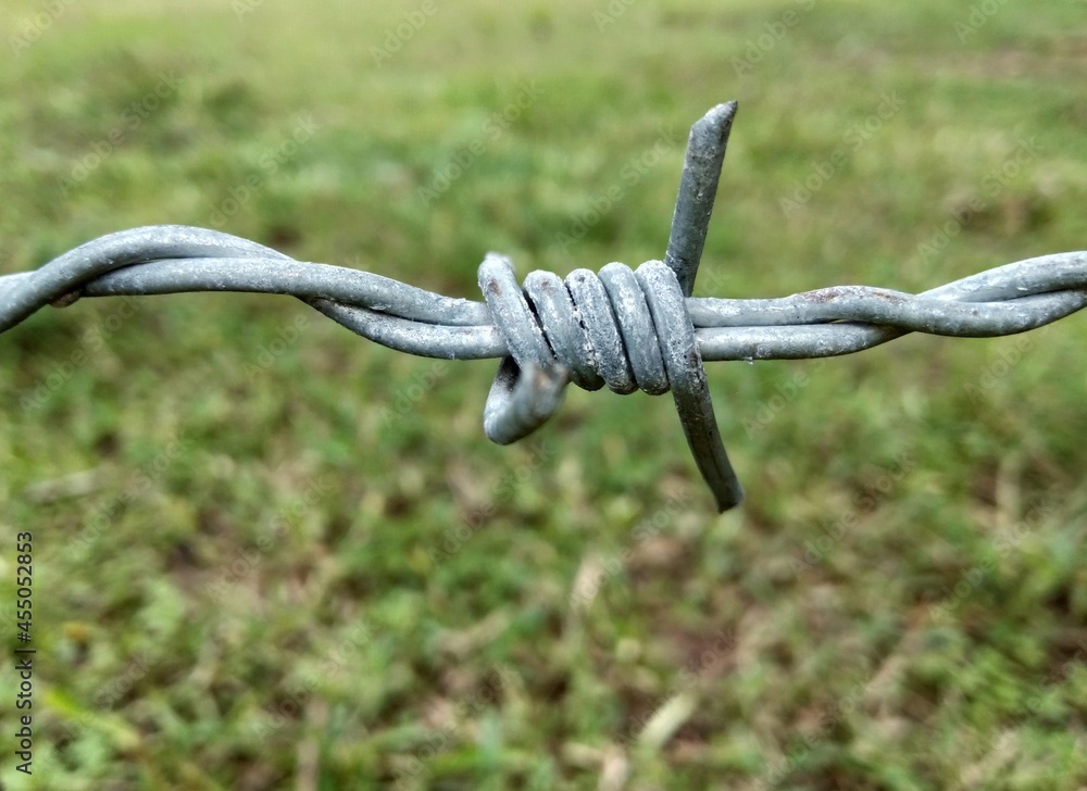 barbed wire against a fence