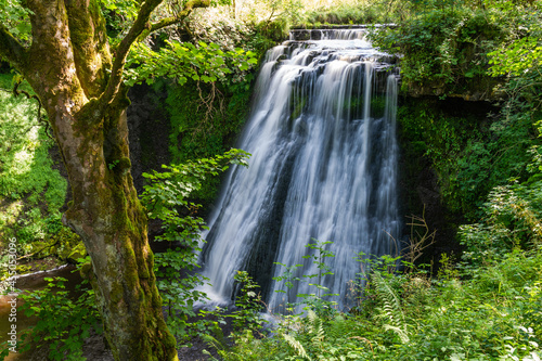Aysgill Force Waterfall