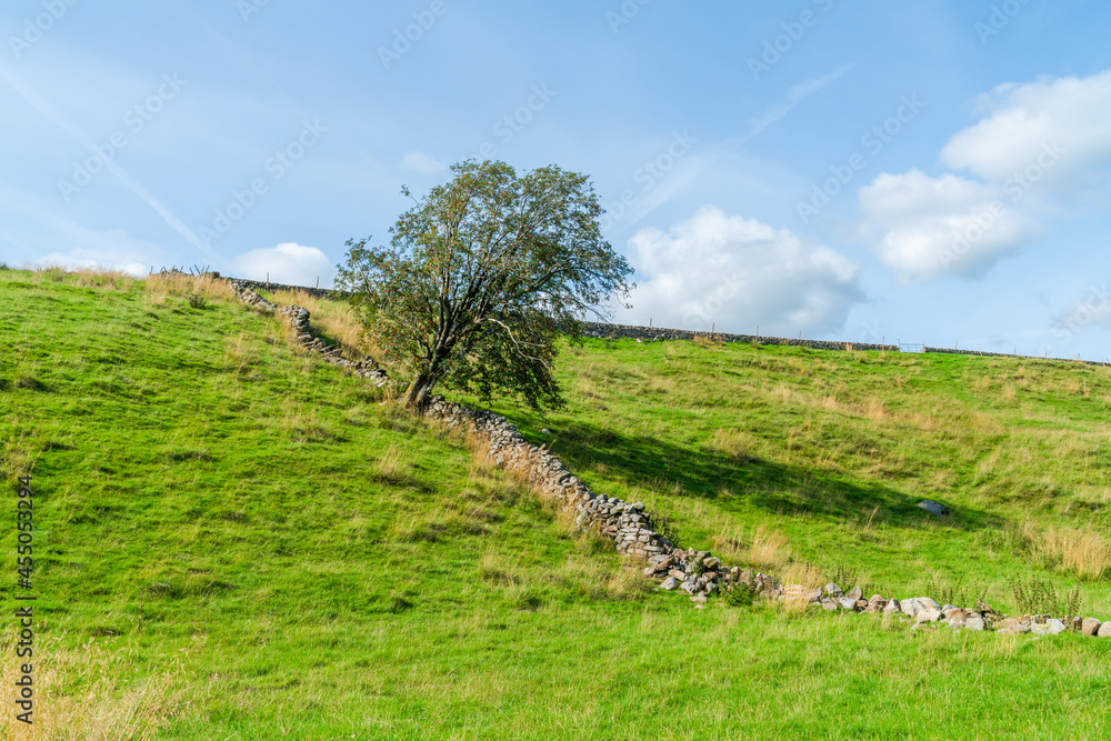 Obraz premium Yorkshire Dales, UK