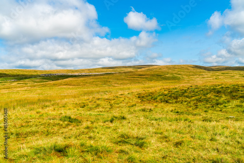 View of rural landscape in Yorkshire Dales  North Yorkshire  UK