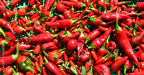  Chilli is the common name given to the berry obtained from some spicy varieties of the Capsicum genus of plants used mainly as a condiment