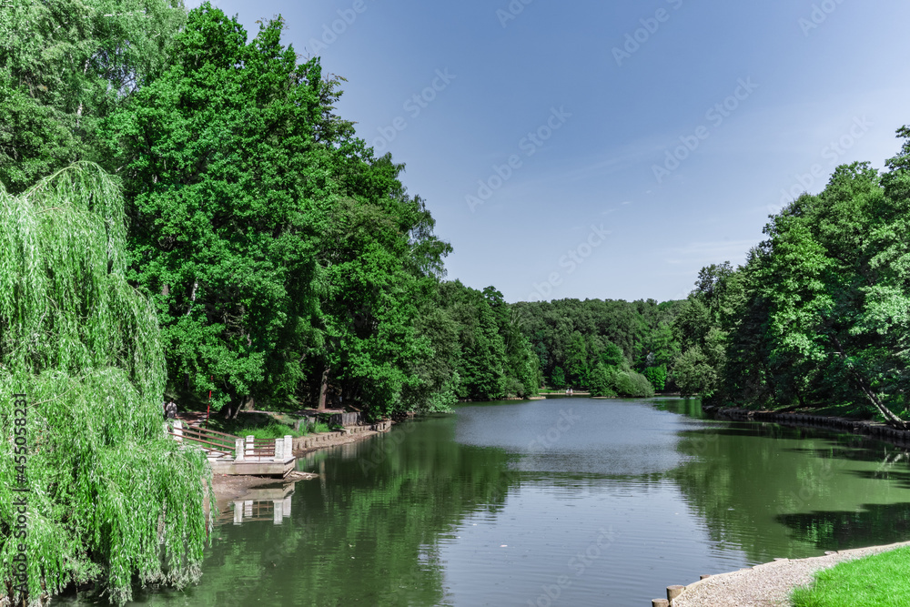 Green shores of a large pond in a summer park