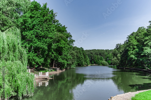 Fototapeta Naklejka Na Ścianę i Meble -  Green shores of a large pond in a summer park