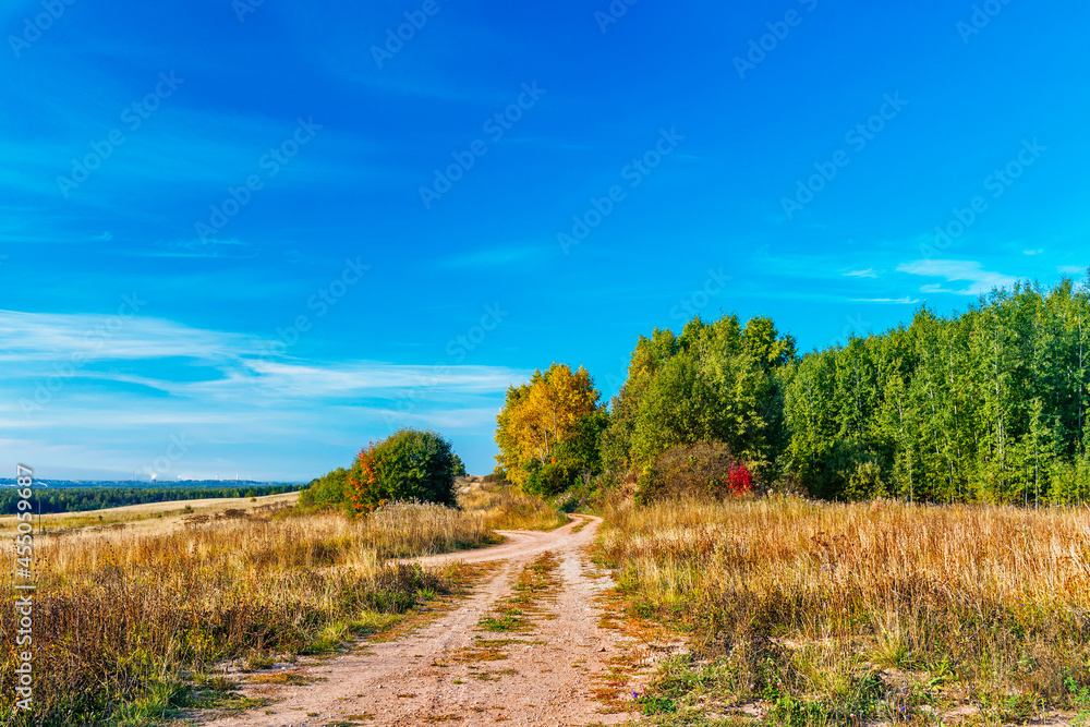 landscape with a dirt road in a field in an autumn day