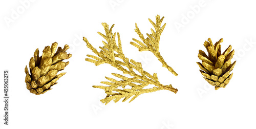 Set of pine cones and twigs...