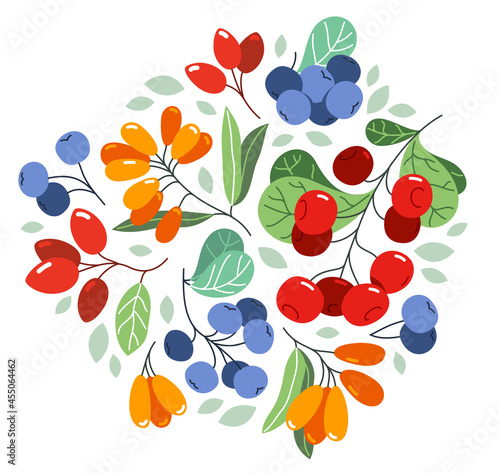 Wild berries fresh and ripe tasty healthy food vector flat style illustration isolated over white, delicious vegetation diet eating, organic food.