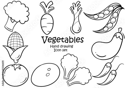 fresh vegetable hand drawn illustration set consisting of broccoli, carrots, scallions, chickpeas, tomatoes, potatoes, chicory, corn, eggplant and chilies