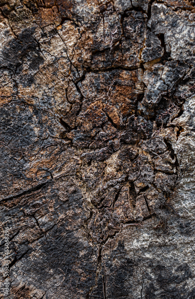 old and ugly wooden natural surface in dark color old and ugly wooden natural surface in dark color