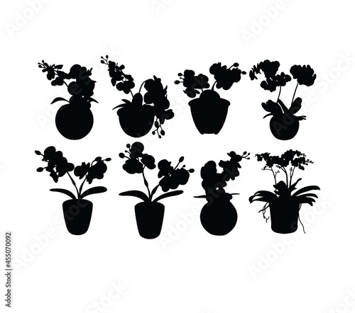 Orchid Silhouettes, art vector design