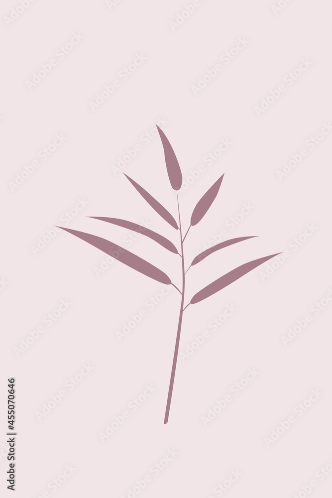 Rosa Pflanze | Poster Rosa Pflanze | Poster