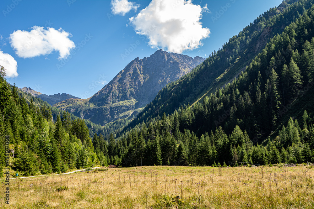 Alpine mountain Valley in the Styrian Alps in Austria Alpine mountain Valley in the Styrian Alps in Austria